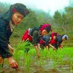 Indonesia