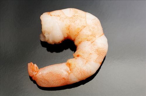 Single%20King%20Prawn%20on%20Black%20Plate.jpg