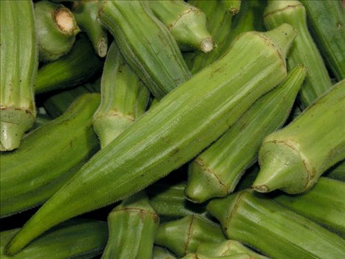 http://www.seasonedpioneers.co.uk/assets/recipes/pile%20of%20fresh%20picked%20okra.jpg