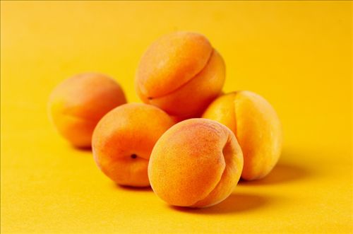 http://www.seasonedpioneers.co.uk/assets/recipes/group%20of%20apricots.jpg